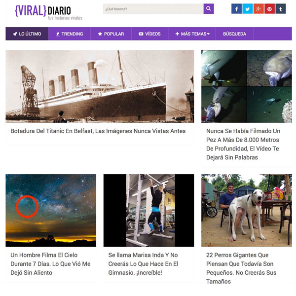 Viral Diario, tus historias virales